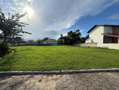 imagem-miniatura