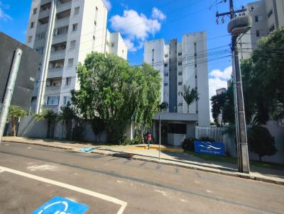Apartamento para Venda, em , bairro Monte Alegre, 2 dormit�rios, 1 banheiro, 2 vagas