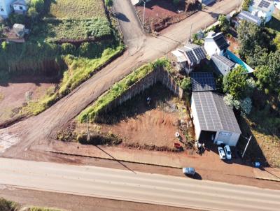 Terreno para Venda, em Trindade do Sul, bairro As Margens Da Ers - 324