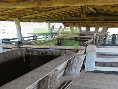 Fazenda para Venda, em Vera Cruz, bairro Zona Rural