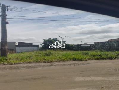 Terreno para Venda, em Itanha�m, bairro Ch�cara S�o Fernando
