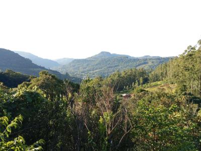 �rea Rural para Venda, em S�o Vendelino, bairro VALE SUICO