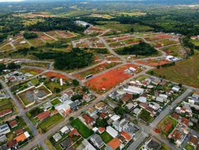 Loteamento para Venda, em Campina Grande do Sul, bairro Loteamento Moradas da Campina
