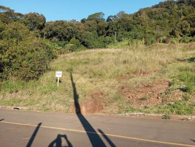 Terreno para Venda, em S�o Vendelino, bairro VALE SUICO
