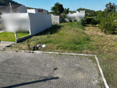 Terreno para Venda, em Bom Princ�pio, bairro BOM FIM ALTO