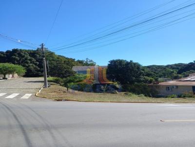 Terreno para Venda, em Farroupilha, bairro Nova Vicenza