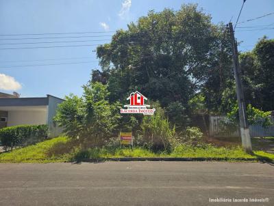 Terreno para Venda, em Manaus, bairro Ponta Negra