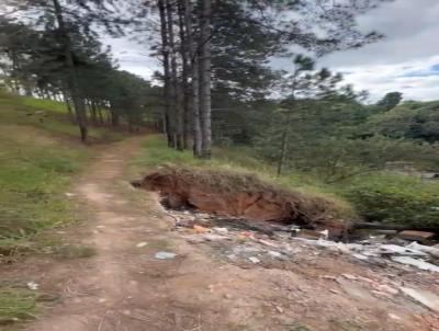 Terreno para Venda, em Caieiras, bairro 