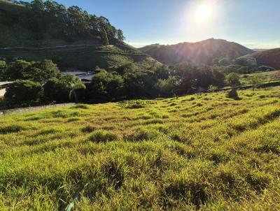 Terreno para Venda, em Juiz de Fora, bairro Grama