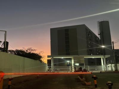 imagem-miniatura