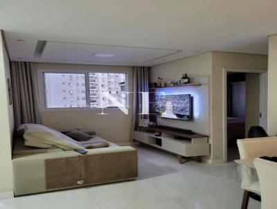imagem-miniatura