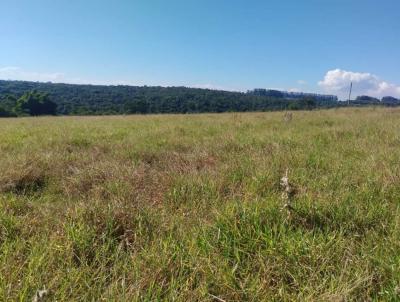 S�tio para Venda, em Cajuru, bairro RURAL, 3 dormit�rios, 2 banheiros, 10 vagas