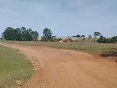 S�tio para Venda, em Cajuru, bairro RURAL