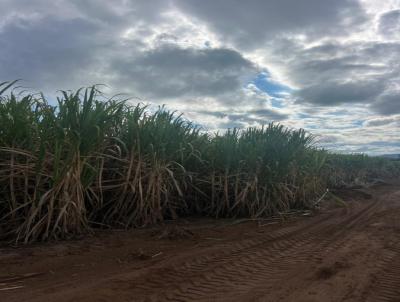 S�tio para Venda, em Cajuru, bairro RURAL