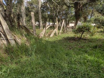 Ch�cara para Venda, em Campina Grande do Sul, bairro SANTA RITA