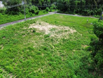 Terreno para Venda, em Manaus, bairro Novo Aleixo