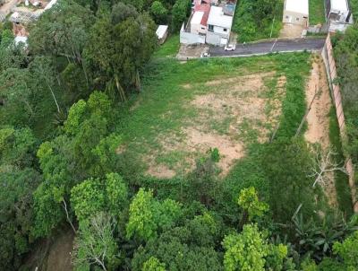 Terreno para Venda, em Manaus, bairro Novo Aleixo