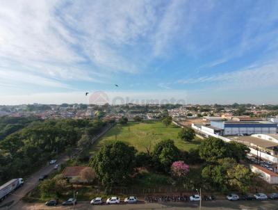 Comercial para Venda, em Pirassununga, bairro Distrito Industrial