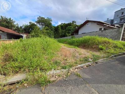 Terreno para Venda, em Joinville, bairro Nova Bras�lia
