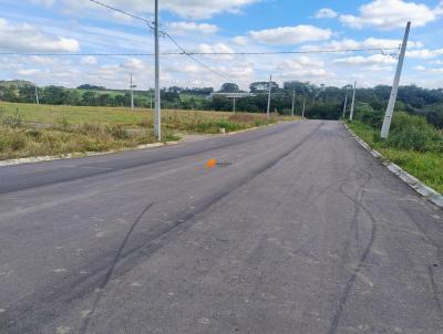 Terreno para Venda, em Mandirituba, bairro 