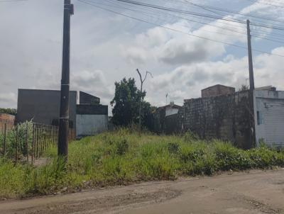 Terreno para Venda, em Itanha�m, bairro Guacyra