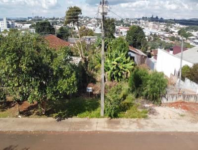 Lote para Venda, em Laranjeiras do Sul, bairro Centro