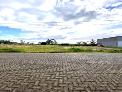 Terreno para Venda, em , bairro Aeroclube