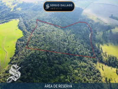 �rea Rural para Venda, em Laranjeiras do Sul, bairro 