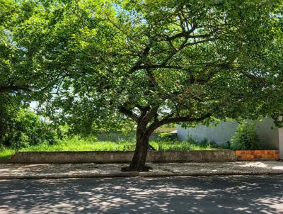 Terreno para Venda, em Ibir�, bairro Termas de Ibir�