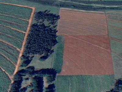 S�tio para Venda, em Estrela do Norte, bairro Rural