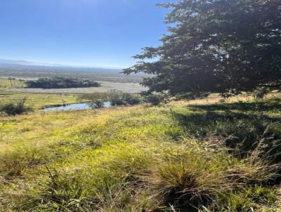 S�tio para Venda, em Novo Hamburgo, bairro Lomba Grande