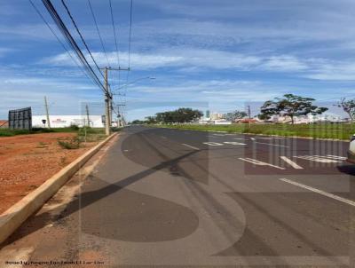imagem-miniatura
