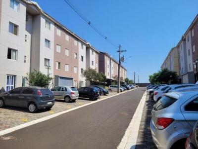 imagem-miniatura