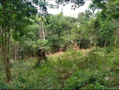 Terreno para Venda, em Teres�polis, bairro Jardim Salaco