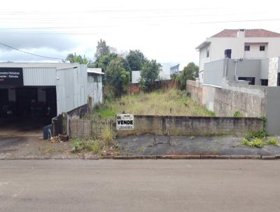 Lote para Venda, em Laranjeiras do Sul, bairro Centro