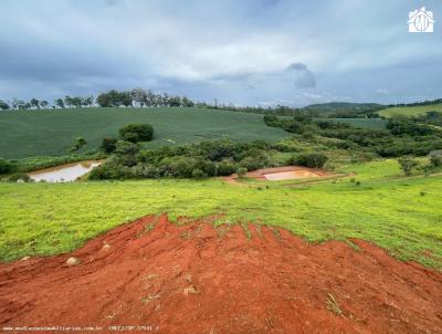 Terreno para Venda, em , bairro Bairro dos Pretos