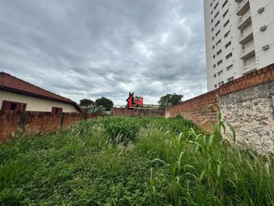 imagem-miniatura