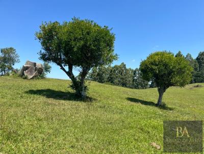 �rea Rural para Venda, em Mariana Pimentel, bairro Centro