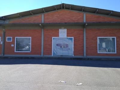 Galp�o para Loca��o, em Brusque, bairro Bateas