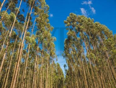 Fazenda para Venda, em Juiz de Fora, bairro Torre�es