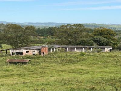 S�tio para Venda, em , bairro 