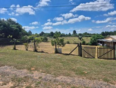 S�tio para Venda, em Viam�o, bairro 