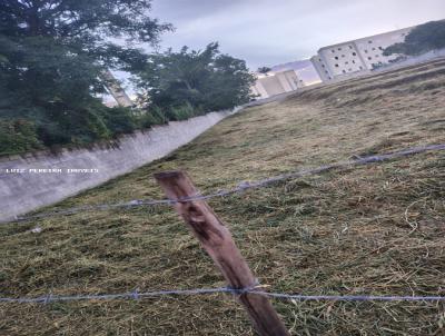 Terreno para Venda, em Mogi das Cruzes, bairro Botujuru