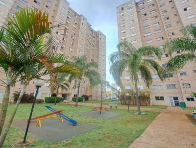 imagem-miniatura