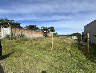 imagem-miniatura