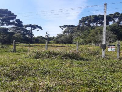 Ch�cara para Venda, em Fazenda Rio Grande, bairro Eucaliptos