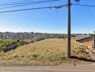 Terreno Residencial para Venda, em Londrina, bairro Ol�mpico
