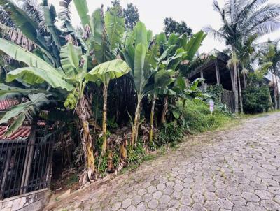 Terreno para Venda, em Blumenau, bairro Itoupava Norte