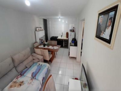 Apartamento para Venda, em S�o Jos� dos Pinhais, bairro Afonso Pena, Parque da Fonte, 2 dormit�rios, 1 banheiro, 1 vaga