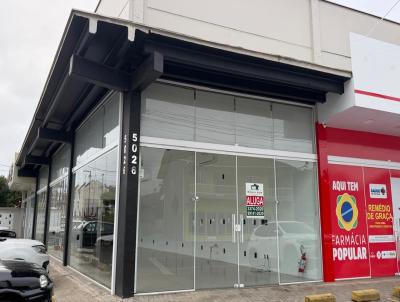 Sala Comercial para Loca��o, em Schroeder, bairro Centro Norte, 2 banheiros